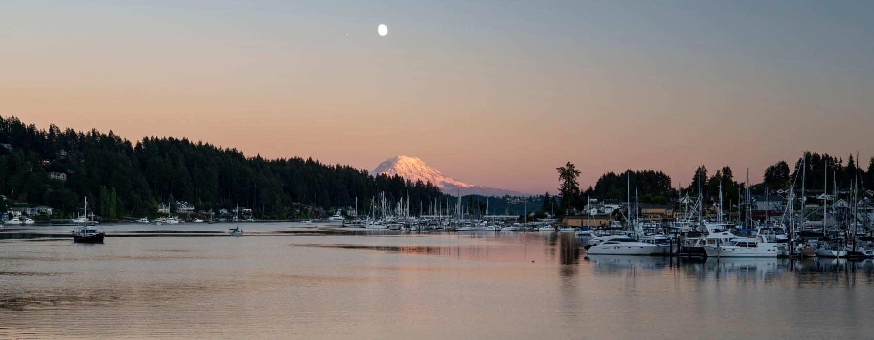 a body of water with boats and trees around it